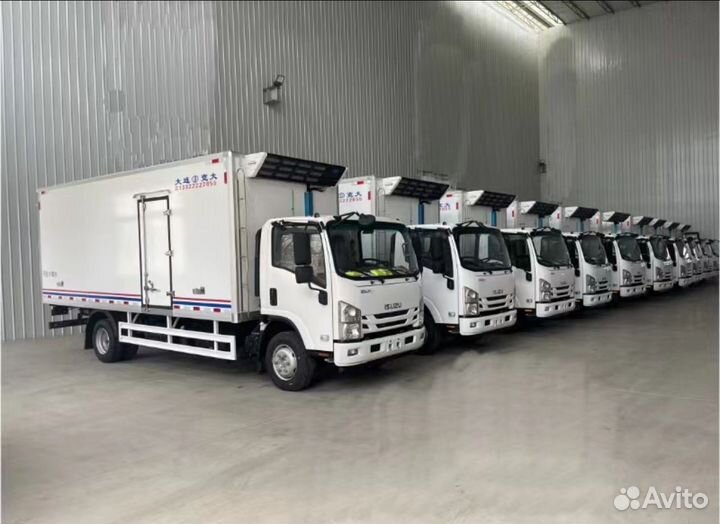 Isuzu Elf (N-series), 2024