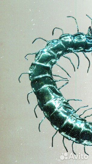 Серьга Моносерьга сколопендра ручной работы