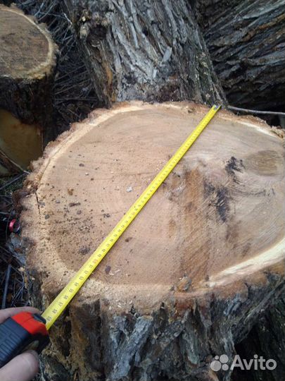 Слэб карагач 45-68см спил