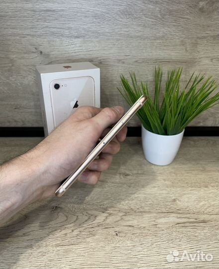 iPhone 8, 64 ГБ
