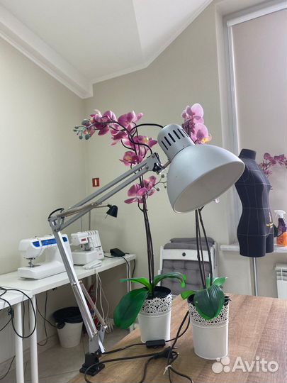 Настольная лампа IKEA