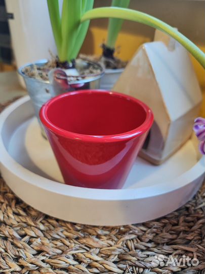 Горшок для цветов кактусница