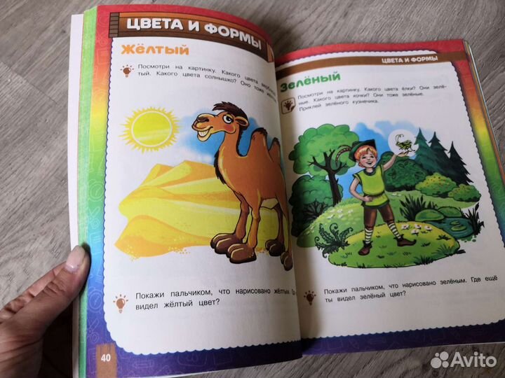 Годовой курс занятий 2-3 Жукова