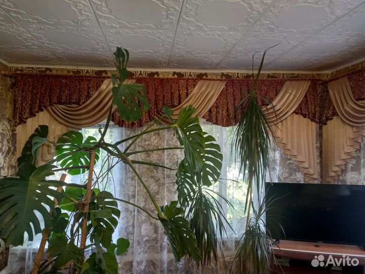 Шторы с ламбрекеном