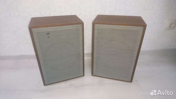 Акустическая система 10ас-318 (Маяк)