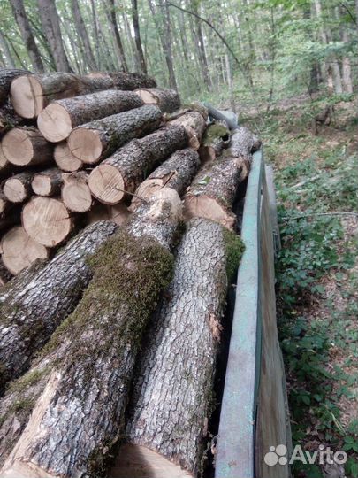 Дрова дуб, граб, ясень