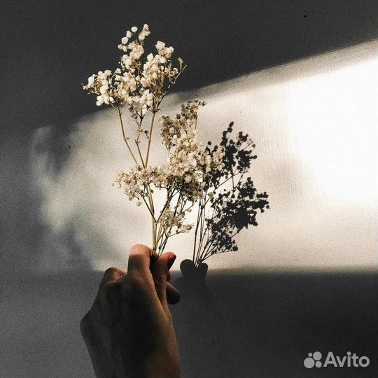 Щенки полу- алабай