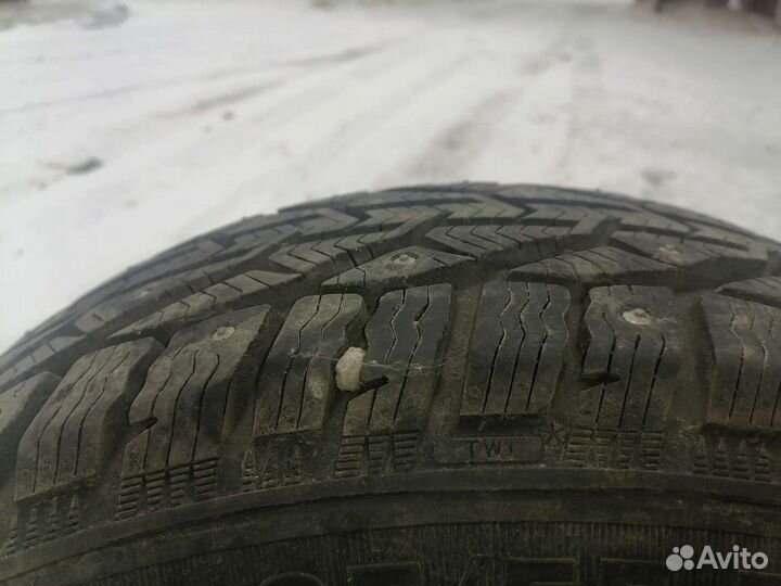 Tigar Ice 205/55 R16