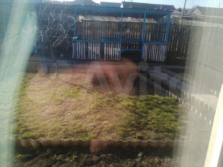 Дача 10 м² на участке 8 сот.