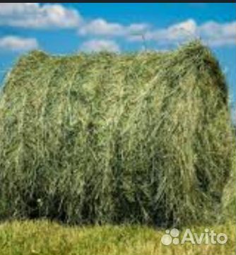 Сено в рулонах