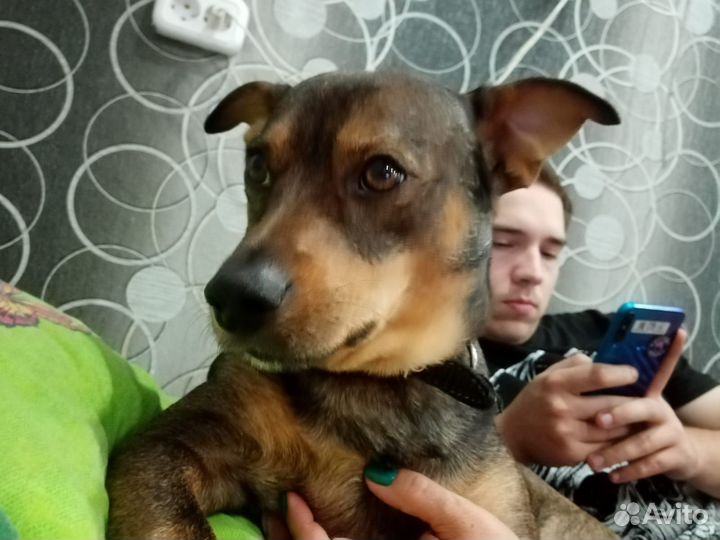 Вязка кабель бесплатно