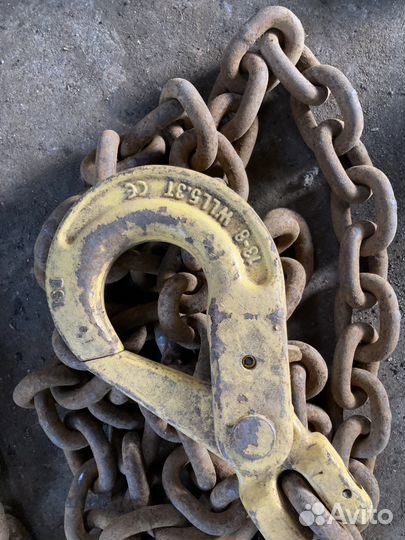 Цепной паук, длина 5 метров