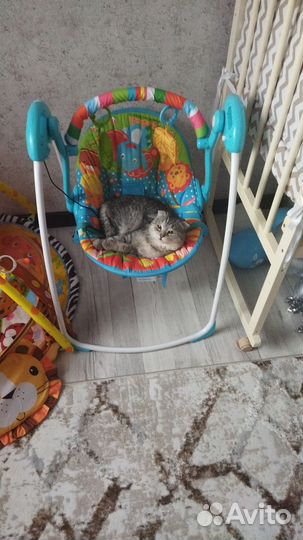 Уход за животными