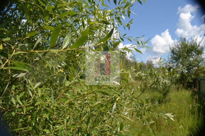 Участок 10 сот. (СНТ, ДНП)