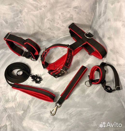 Амуниция для собак