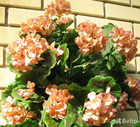 Цветы декор Герань