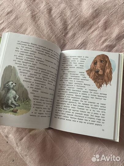 Белый щенок ищет хозяина