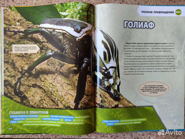 Большая энциклопедия 