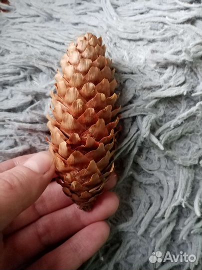 Шишки для декоративной работы