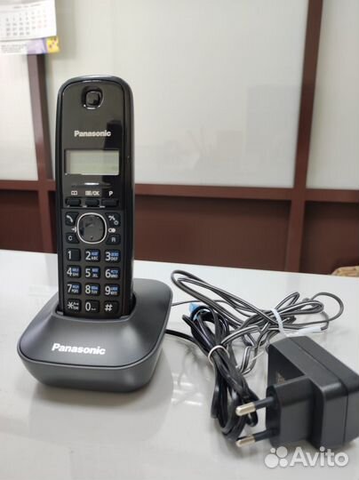 Panasonic