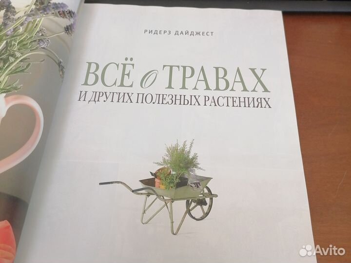 Все о травах и других полезных растениях