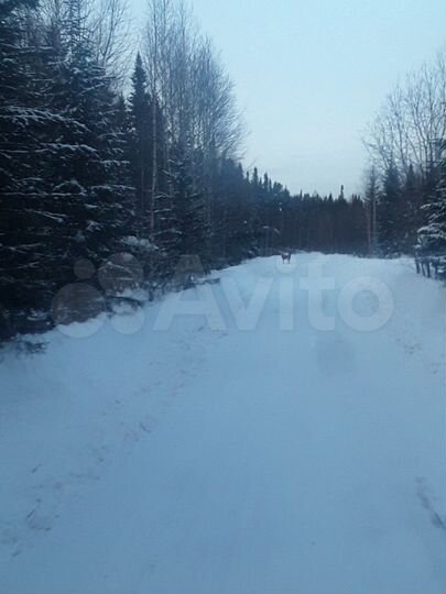 Участок 18 сот. (СНТ, ДНП)