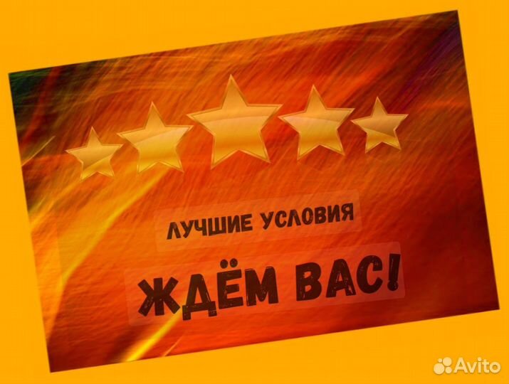 Сортировщик Еженедельный аванс Спецодежда М/Ж