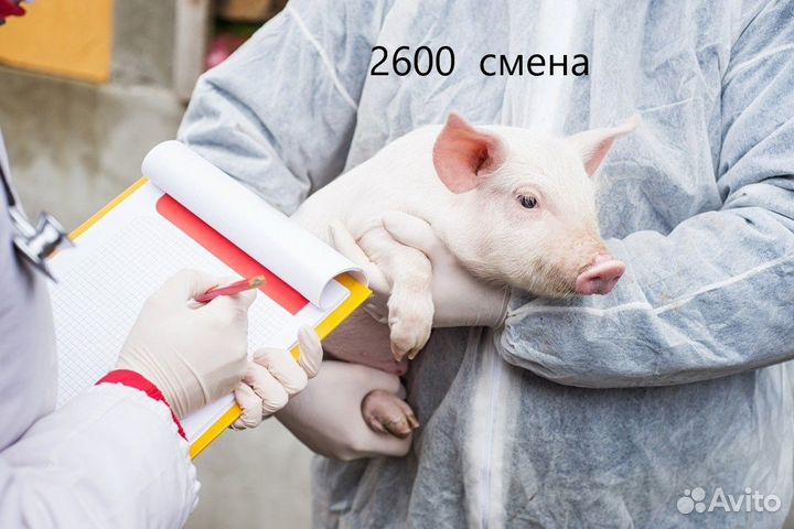 Разнорабочие уход за животными. Вахта.Тверская обл