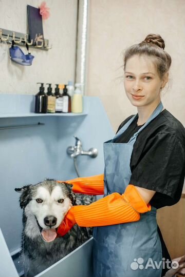 Груминг. Стрижка собак и кошек