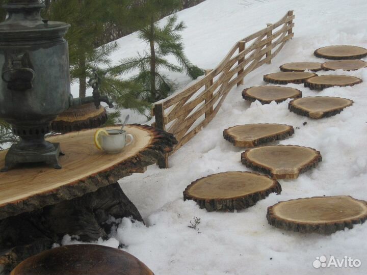 Спилы деревьев