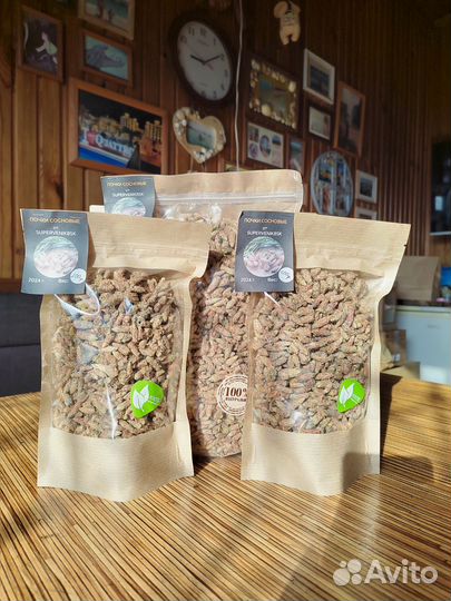 Сосновые почки