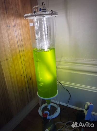 Tетраселмис