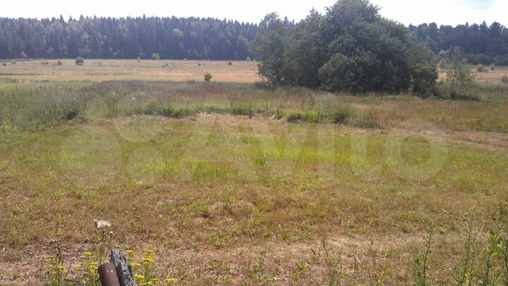 Участок 15 сот. (ИЖС)