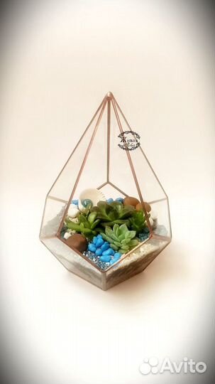 Флорариумы и минисадики с суккулентами
