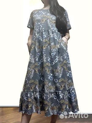 Шотландский прямоухий котик