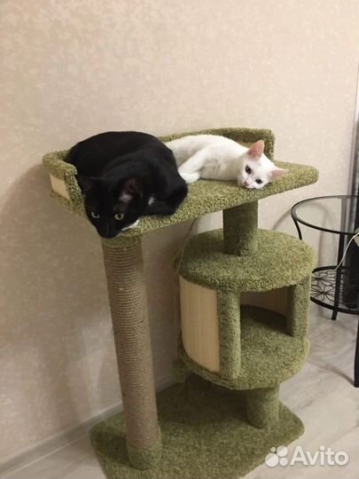 Домик для кошки
