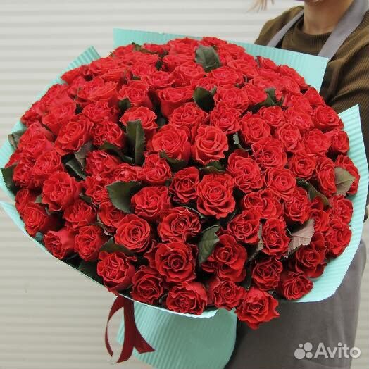 Розы эльторо