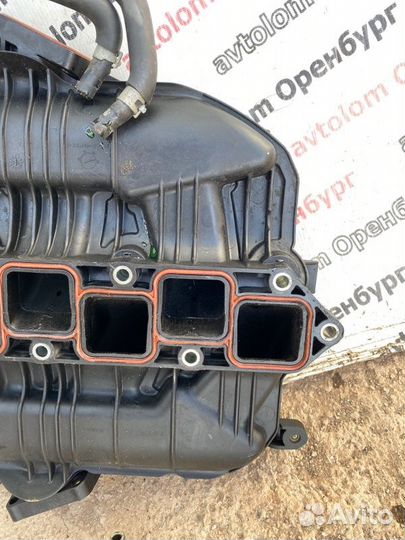 Коллектор впускной Infiniti Ex35 J50 VQ35HR 2009