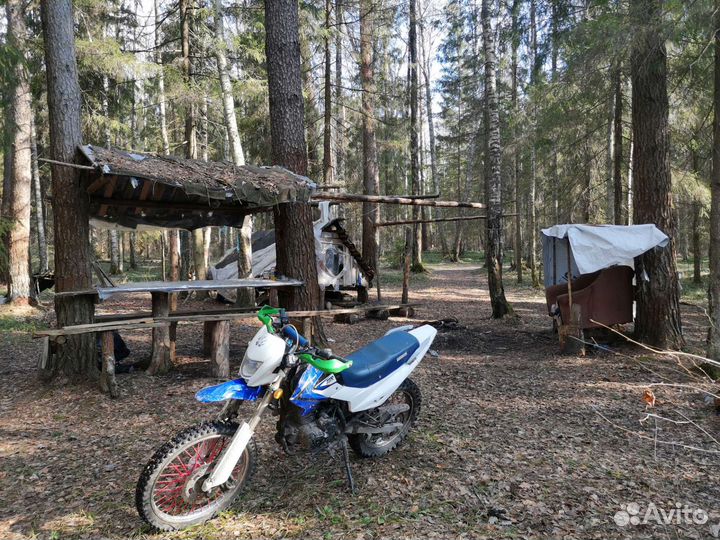 Продам ирбис ттр 250