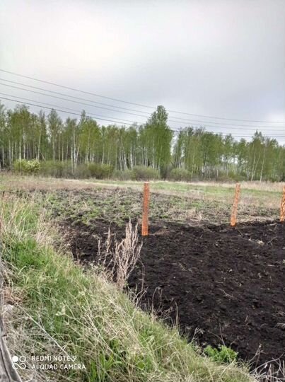 Участок 12 сот. (СНТ, ДНП)