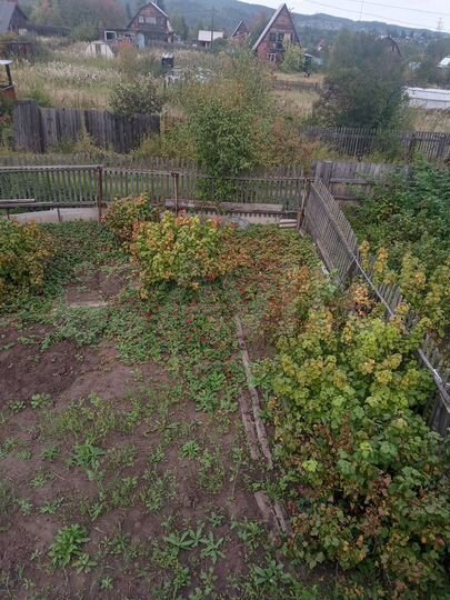 Участок 6 сот. (СНТ, ДНП)