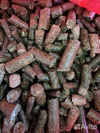 Корм для шиншилл