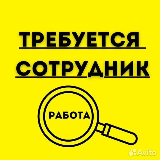 Мерчандайзер с автомобилем