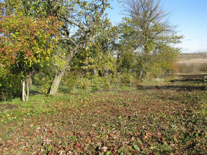 Дом 55 м² на участке 48 сот.