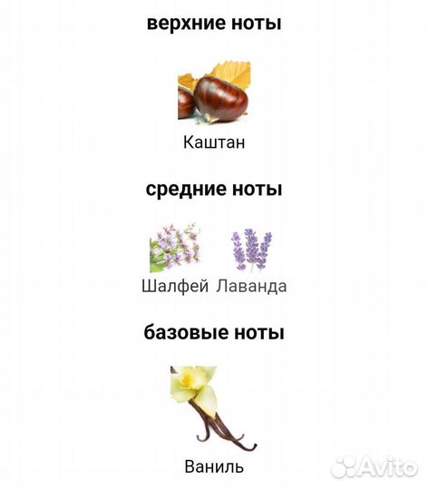 Emporio Armani Stronger With You Armani оригинал