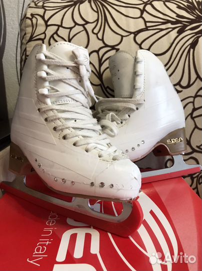 Фигурные коньки edea motivo 205