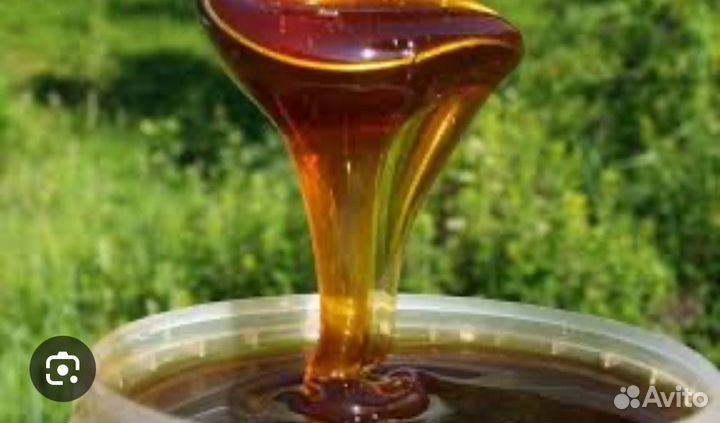 Мед таежный, разнотравье