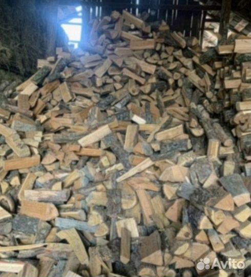 Дрова колотые дуб