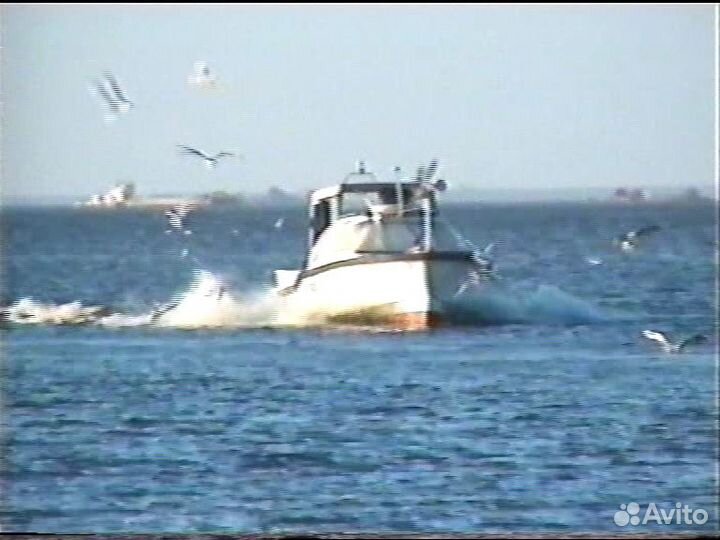 Продаю командирский разъезной катер 
