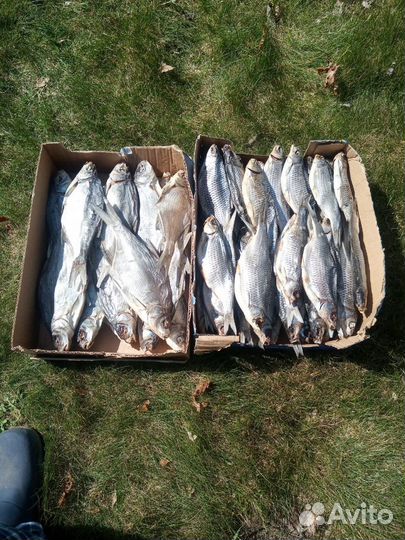 Рыба вяленая